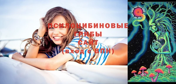 дурь Вяземский