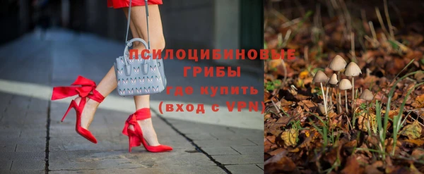 шишки Бежецк