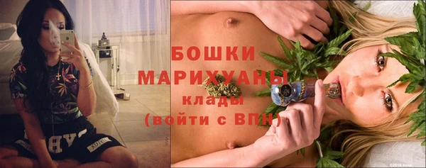 молекула духа Надым
