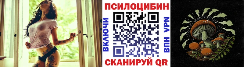 Галлюциногенные грибы Cubensis гидра ONION Гаджиево